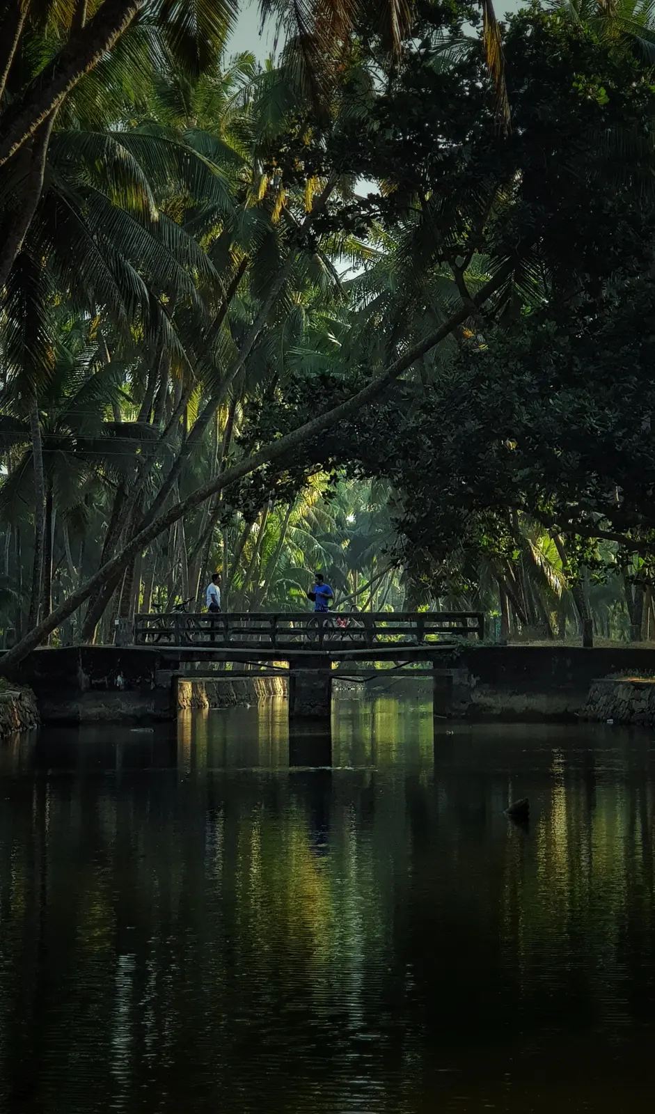 Coconut canal-side, Kuttanad