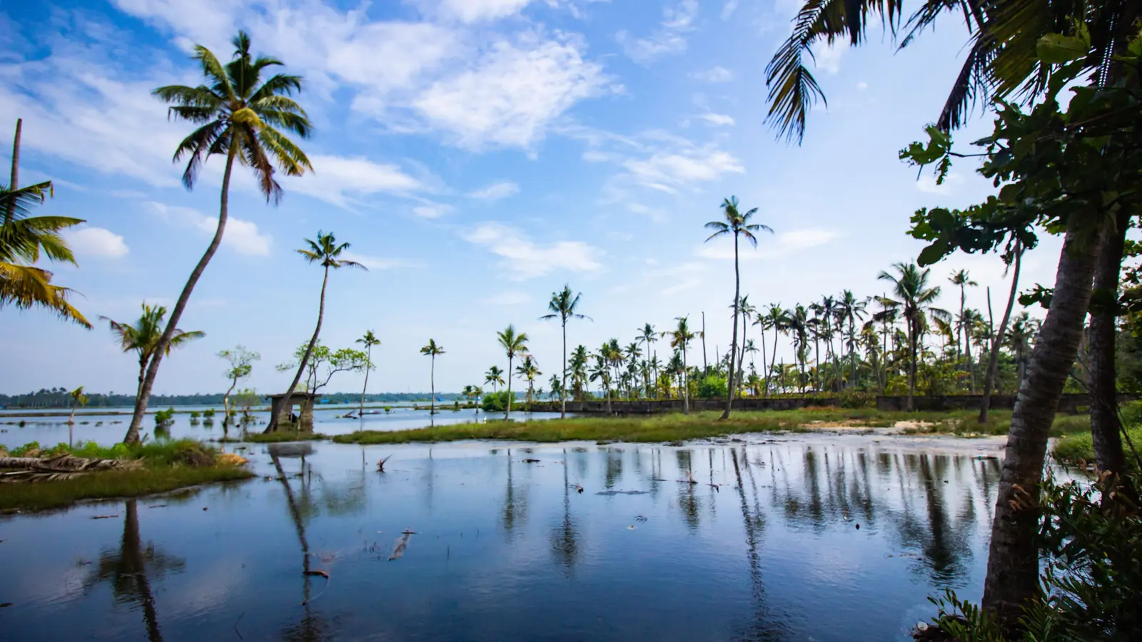 Coconut canal-side, Kuttanad